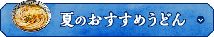 夏のおすすめうどん