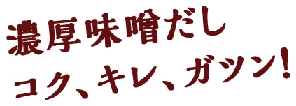 濃厚味噌だし コク、キレ、ガツン！