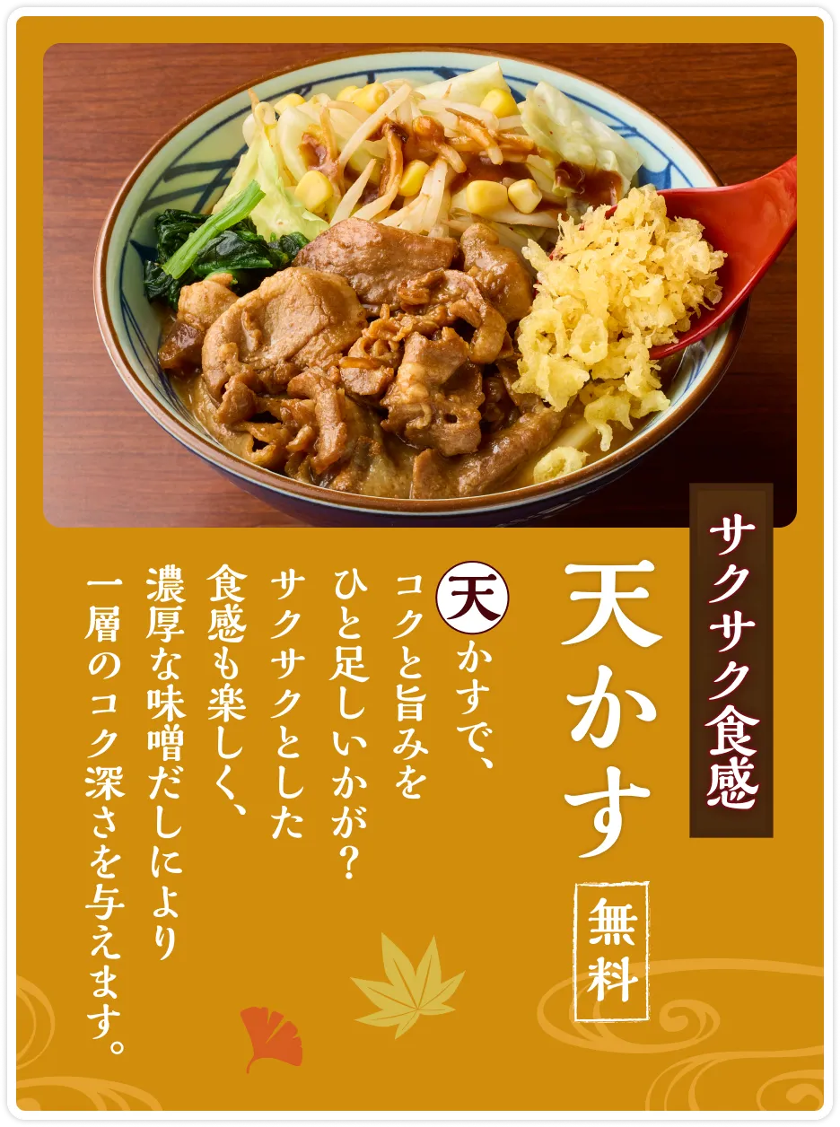 サクサク食感「天かす」