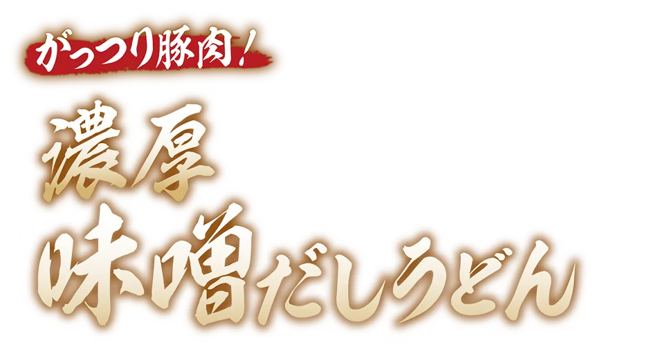 がっつり豚肉！濃厚味噌だしうどん