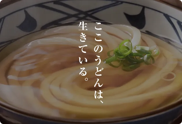ここのうどんは、生きている。