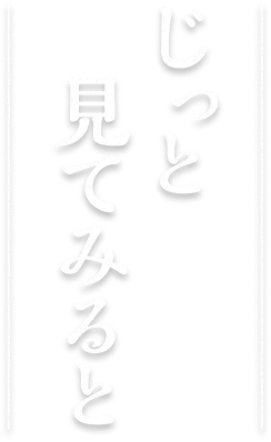 じっと見てみると
