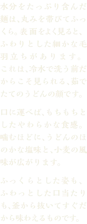 水分をたっぷり含んだ麺は、丸みを帯びてふっくら。表面をよく見ると、ふわりとした細かな毛羽立ちがあります。これは、冷水で洗う前だからこそ見られる、茹でたてのうどんの顔です。口に運べば、もちもちとしたやわらかな食感。噛むほどに、うどんのほのかな塩味と、小麦の風味が広がります。ふっくらとした姿も、ふわっとした口当たりも、釜から抜いてすぐだから味わえるものです。