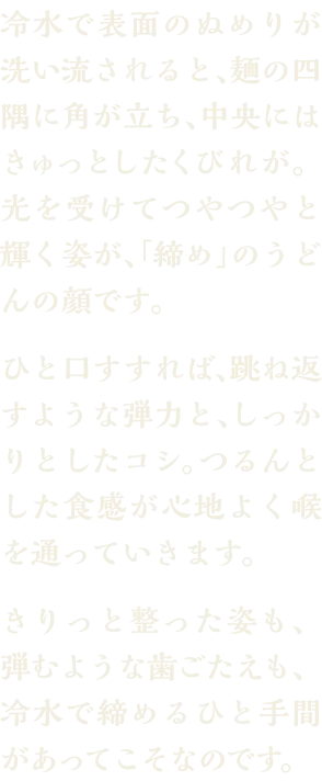 冷水で表面のぬめりが洗い流されると、麺の四隅に角が立ち、中央にはきゅっとしたくびれが。光を受けてつやつやと輝く姿が、「締め」のうどんの顔です。ひと口すすれば、跳ね返すような弾力と、しっかりとしたコシ。つるんとした食感が心地よく喉を通っていきます。きりっと整った姿も、弾むような歯ごたえも、冷水で締めるひと手間があってこそなのです。