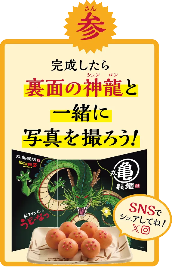 其の参 完成したら裏面の神龍と一緒に写真を撮ろう!