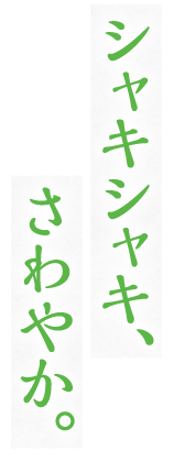 シャキシャキ、さわやか。