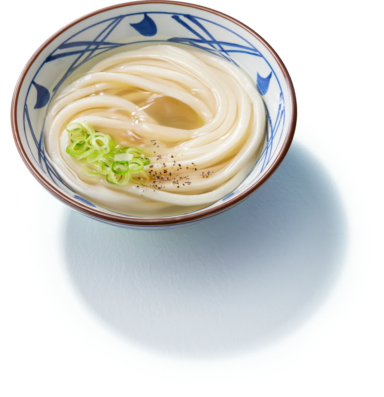 旨塩うどん