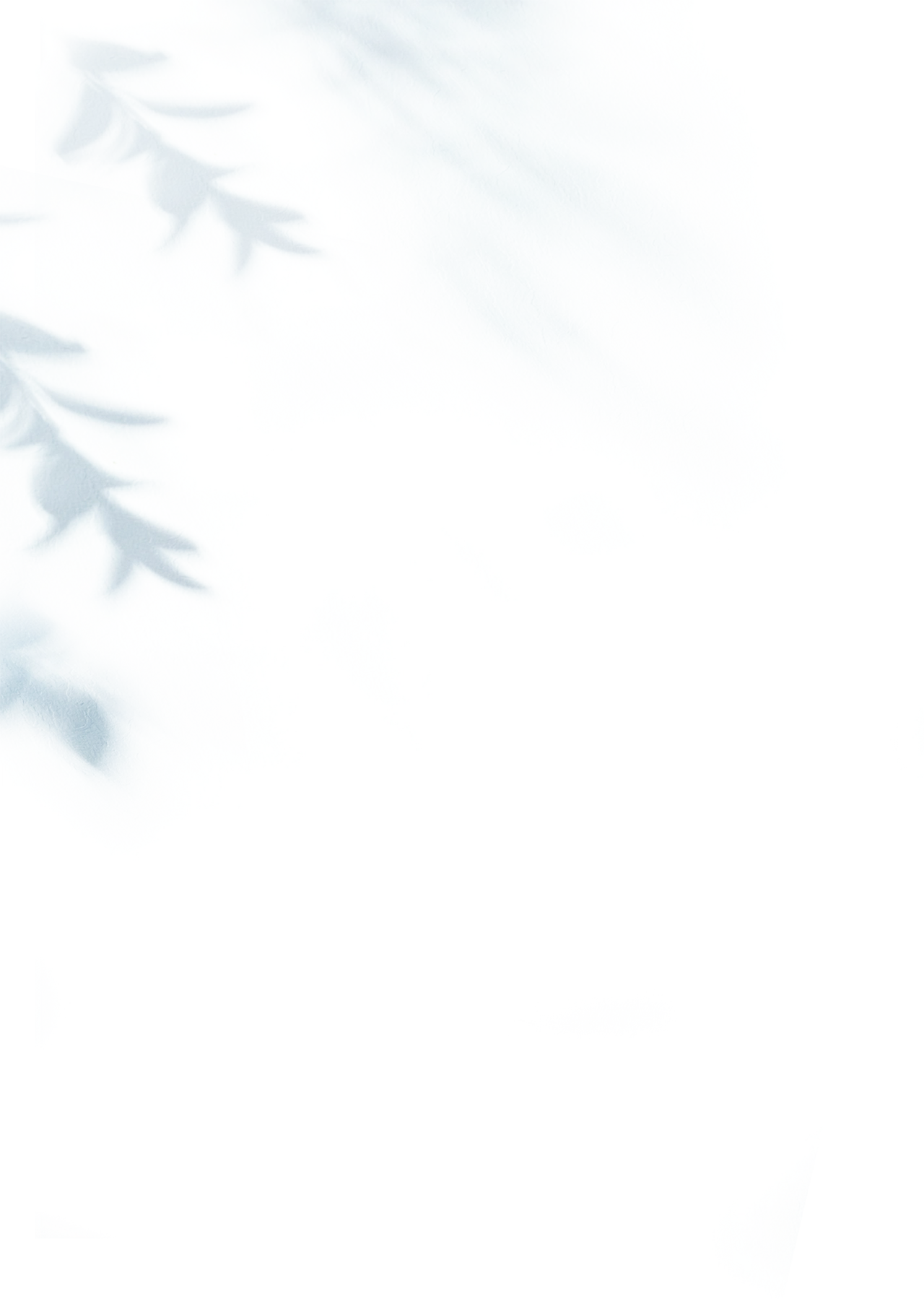 背景
