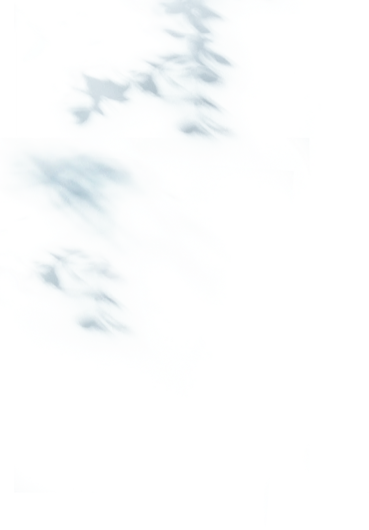 背景