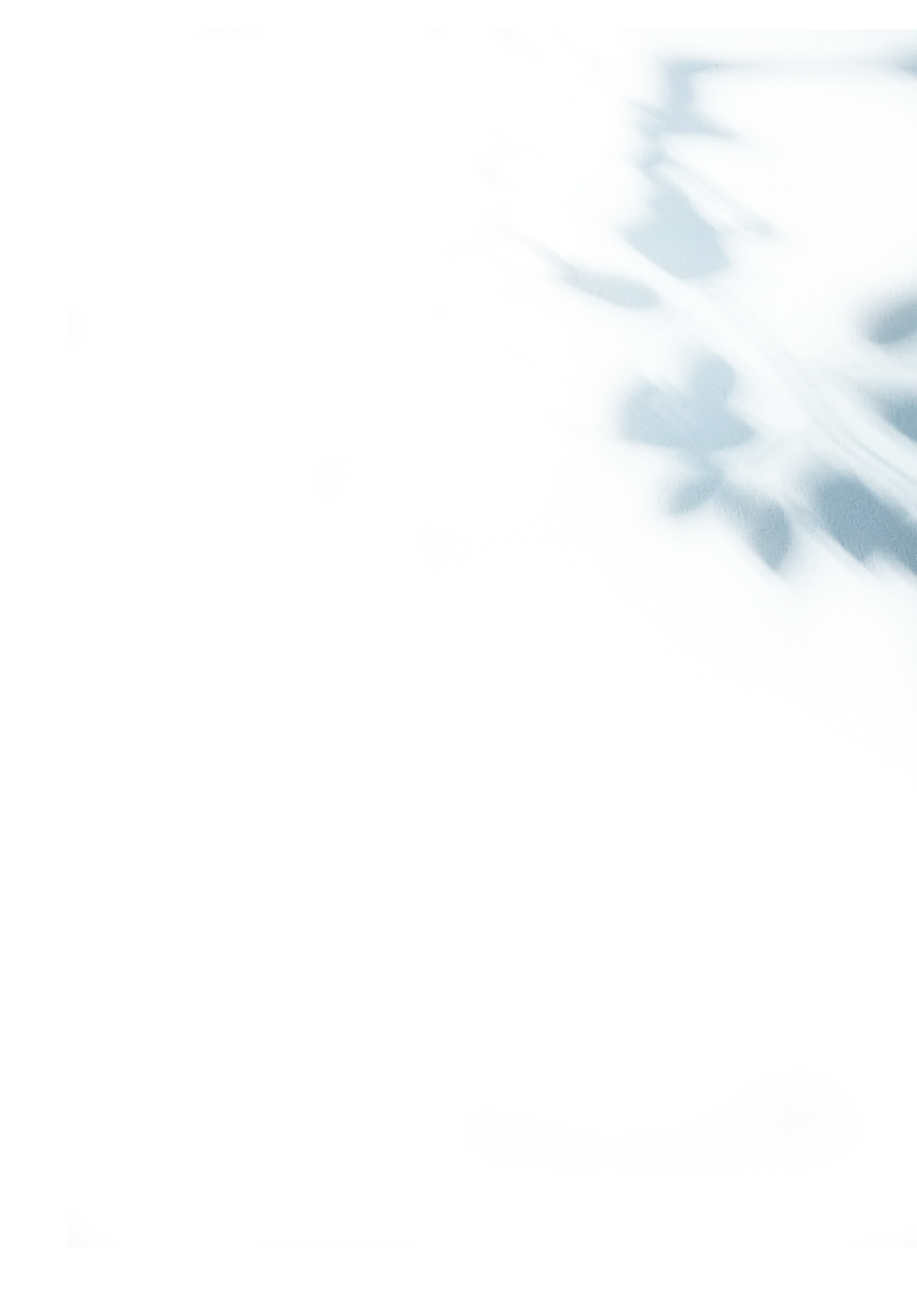 背景