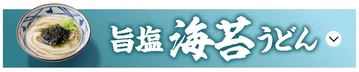 旨塩海苔うどん