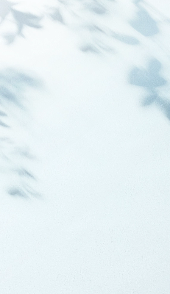 背景