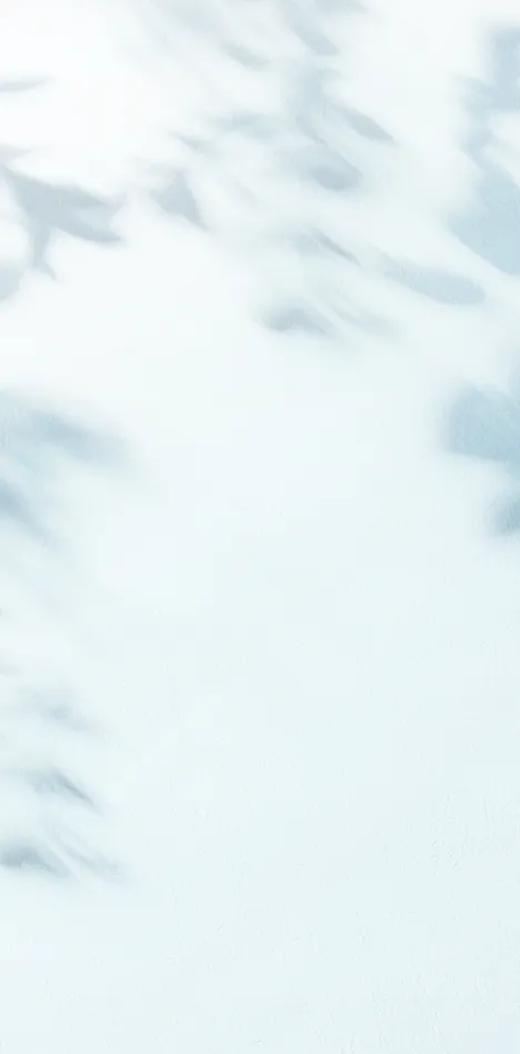 背景