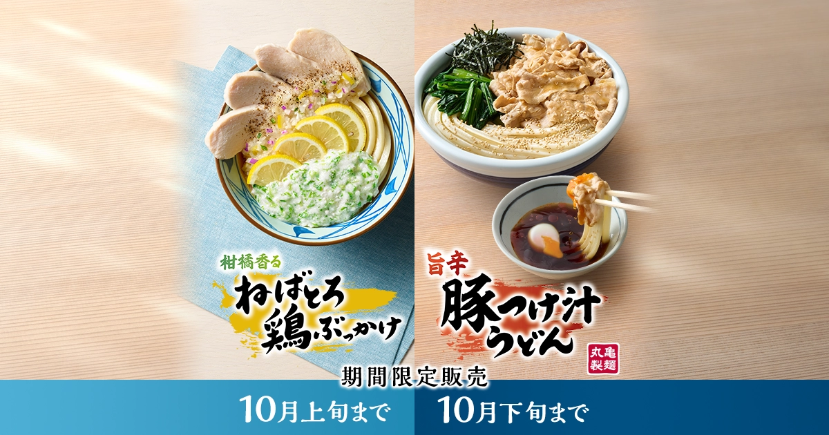 旨辛豚つけ汁うどん｜ここのうどんは、生きている。丸亀製麺