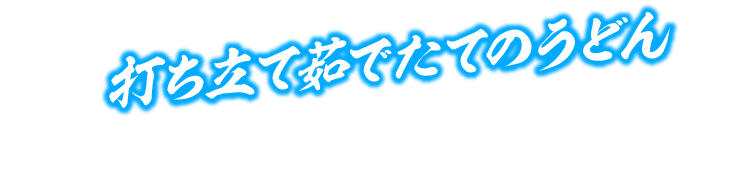 打ち立て締めたてのうどん