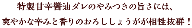 特製甘辛醬油ダレのやみつきの旨さには、爽やかな辛みと香りのおろししょうがが相性抜群！