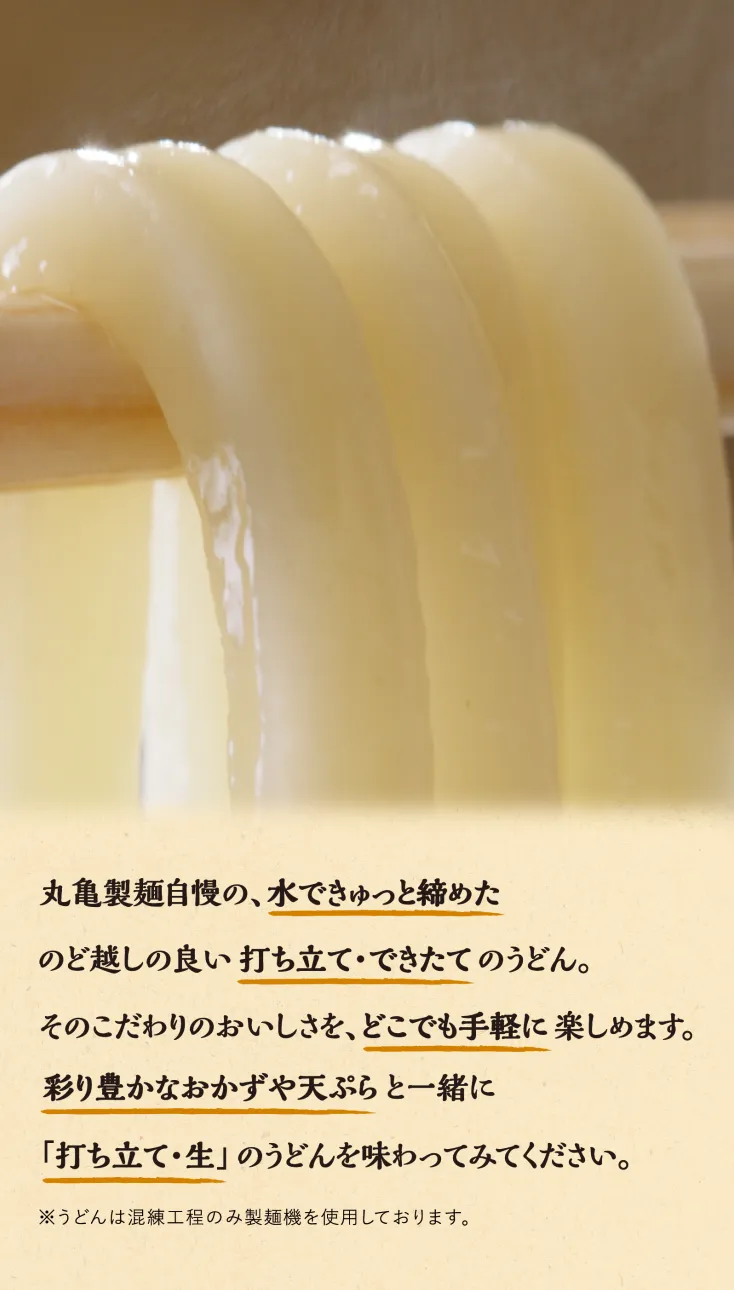 冬の打ち立て 丸亀うどん弁当