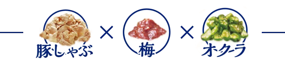 豚しゃぶと梅オクラ うどん弁当
