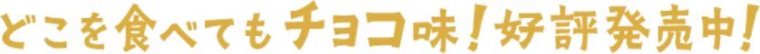 どこを食べてもチョコ味！好評発売中！