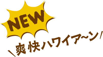 NEW 爽快ハワイア〜ン