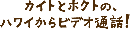 カイトとホクトの、ハワイからビデオ通話！