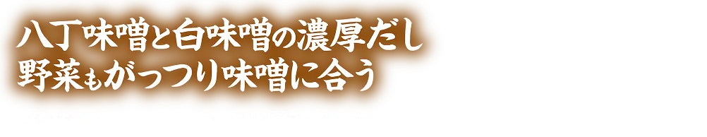 八丁味噌と白味噌の濃厚だし野菜もがっつり味噌に合う