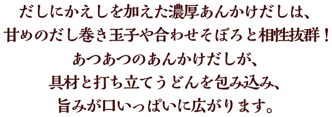 かけだしにかえしやみりんを加えた濃いめのあんかけだしは、甘めのだし巻き玉子や合わせそぼろと相性抜群！あつあつのあんかけだしが、具材と打ち立てうどんを包み込み、旨みが口いっぱいに広がります。
