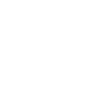 だし玉肉づつみうどん