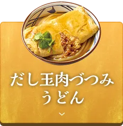 だし玉肉づつみうどん