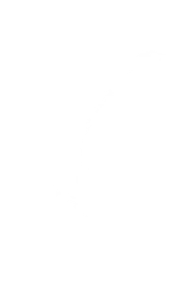 肉がさね玉子あんかけ・だし玉肉づつみうどん・鴨ねぎうどん