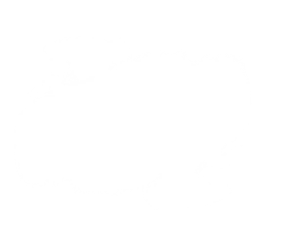 肉がさね玉子あんかけ・だし玉肉づつみうどん・鴨ねぎうどん