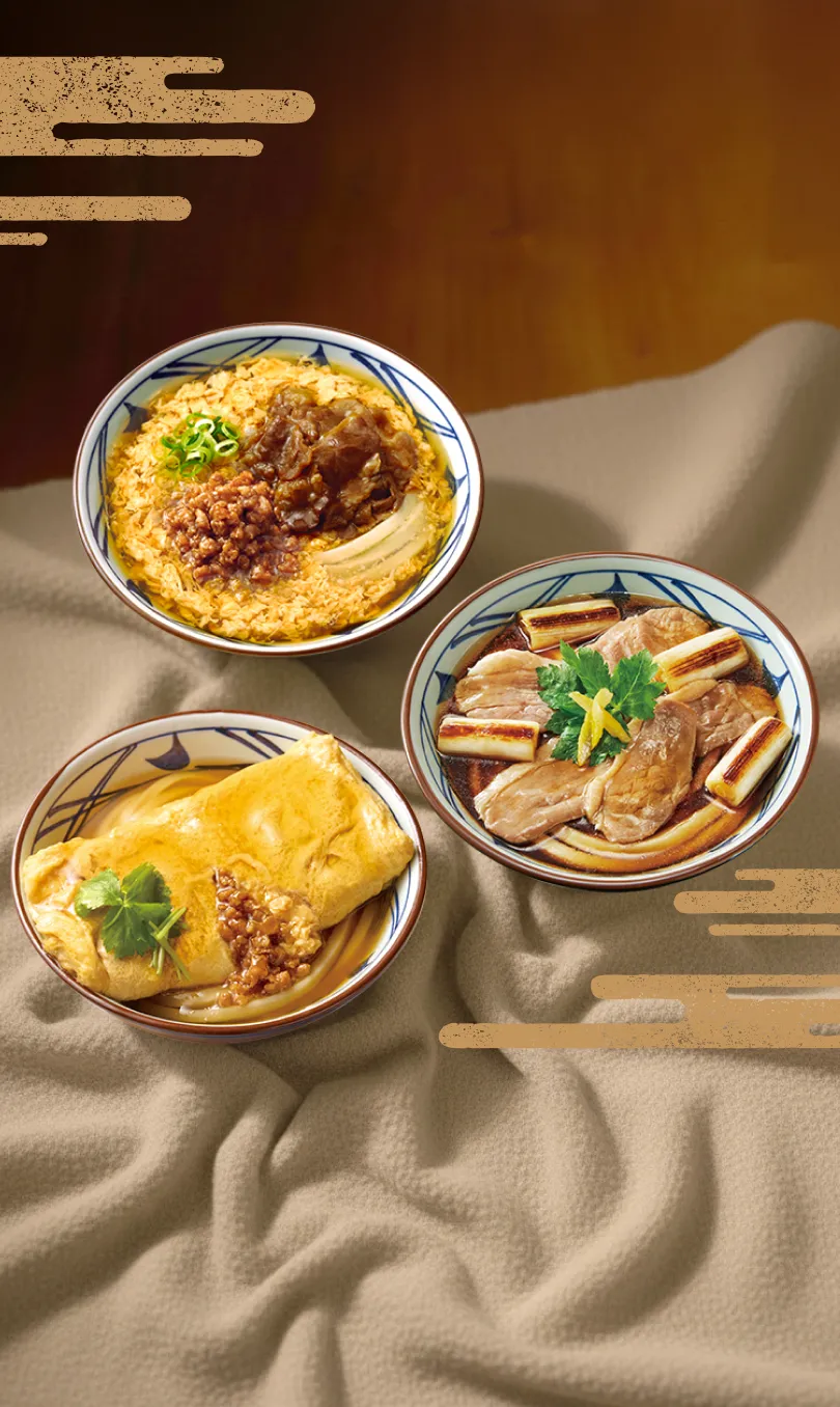 肉がさね玉子あんかけ・だし玉肉づつみうどん・鴨ねぎうどん