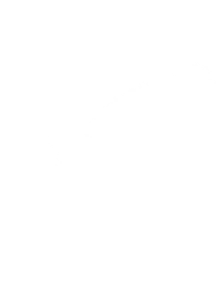 肉がさね玉子あんかけ