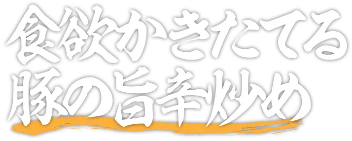 食欲かきたてる豚の旨辛炒め