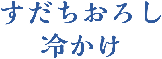 すだちおろし冷かけ