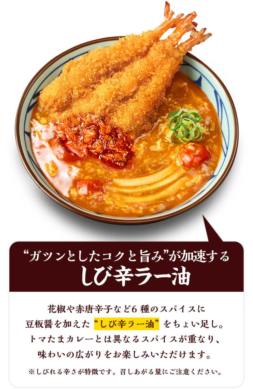 だしソースをかけてみる