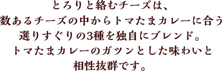 とろりと絡むチーズは、数あるチーズの中からトマたまカレーに合う選りすぐりの3種を独自にブレンド。トマたまカレーのガツンとした味わいと相性抜群です。