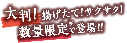 大判！揚げたて！サクサク！数量限定※で登場！！