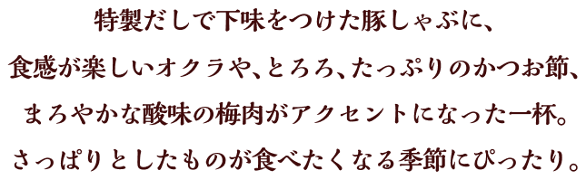 特製だしで下味をつけた豚しゃぶに、食感が楽しいオクラや、とろろ、たっぷりのかつお節、まろやかな酸味の梅肉がアクセントになった一杯。さっぱりとしたものが食べたくなる季節にぴったり。