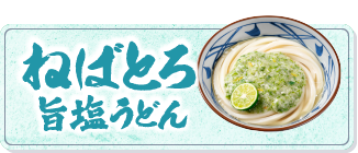 ねばとろ旨塩うどん