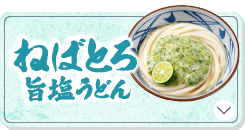 ねばとろ旨塩うどん