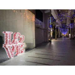 すMYルプロジェクトⅥ<br>~光の道をぬけて<br>城まで歩こう~