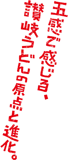 五感で感じる、讃岐うどんの原点と進化